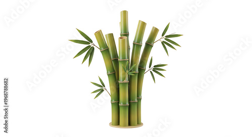 illustration of fresh green bamboo stalks with leaves isolated on white background, illustration