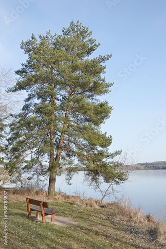 Kleiner Brombachsee im Frühjahr - Gunzenhausen