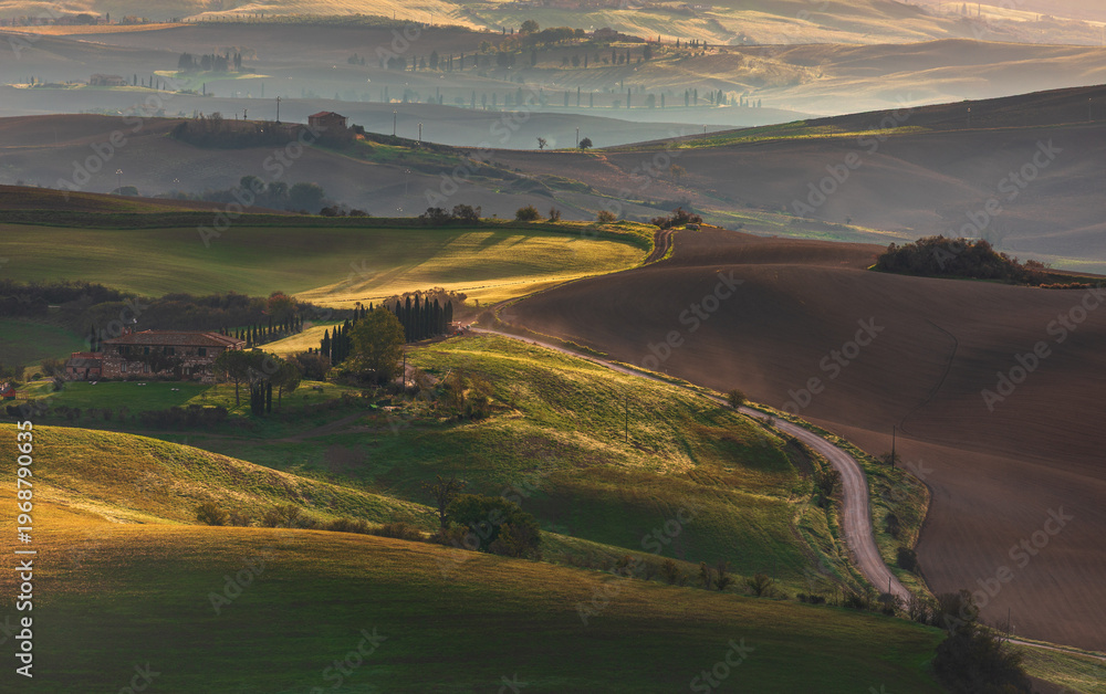 Obraz premium Tuscan rolling hills with winding road and farmhouses at sunrise in San Quirico d'Orcia, Italy.