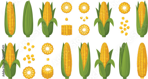 Corn Vegetable Illustration Vector Set. Corn vegetable vector set with whole cob kernels slices and pieces isolated colorful food illustration