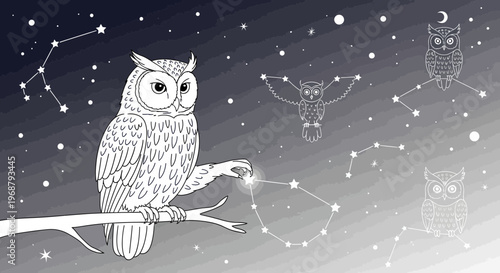 Whimsical Owl Interacts With Celestial Constellations Under Starlit Sky