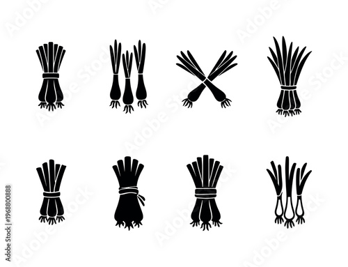 Spring onions contour drawing. Filled icon set of Spring onions contour drawing: tied spring onion bunch,