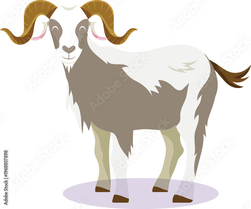 A two-tone coat, mainly light gray/white with brown patches across its body