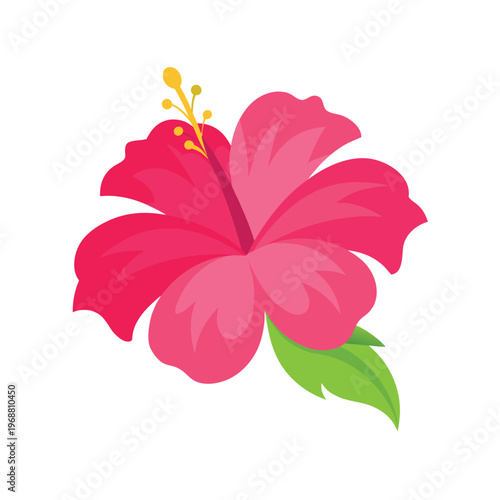 Bright pink hibiscus flower with green leaves isolated on white background