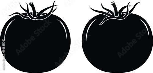 A striking black and white illustration depicts two ripe tomatoes showcasing their rounded forms and distinctive stem arrangements high quality professional detailed modern