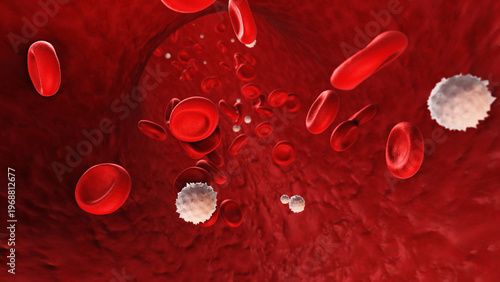 Obraz na płótnie Red Blood cells and White Blood Cells Flow Through Blood Vessel
