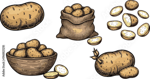 Fresh Raw Potato Set with Wooden Bowl, Sack and Slices Hand Drawn Vintage Illustration