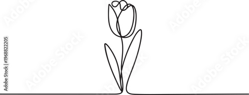 Minimalist one line tulip flower drawing elegant continuous line vector. one line Icon drawing