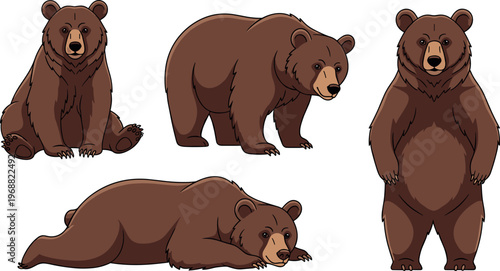 Photography Cute Cartoon Bear Set Featuring Brown Bears in Various Poses in Flat Style Vecto