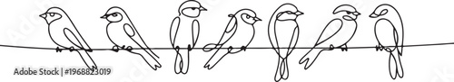 Black and white line of a row of birds perched on a horizontal branch line birds ornithology