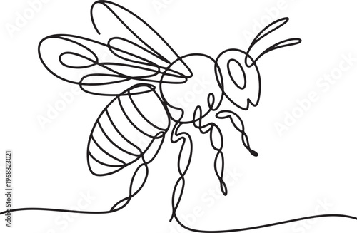 Black and white line of a spider with intricate web and detailed legs line spider arachnid