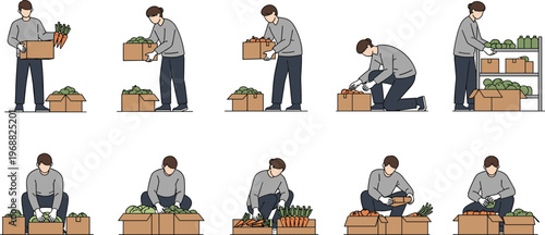 Man sorting and packing fresh vegetables in boxes with different poses isolated on white background for agriculture and food supply design