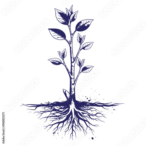 Dark blue ink of a young sapling plant with exposed roots and detailed leaves isolated on a white background