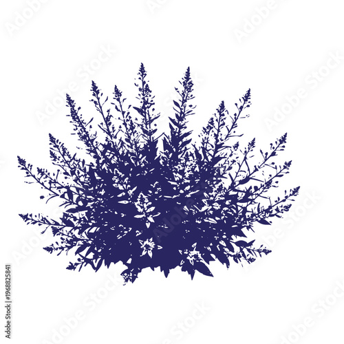 Dark blue silhouette of a dense wild shrub with tall spiky flower stalks and pointed leaves isolated on a white background