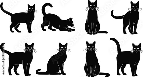 Stylized black cat silhouettes in multiple poses with visible eyes and whiskers, creative feline posture illustration, minimal vector artwork design concept collection