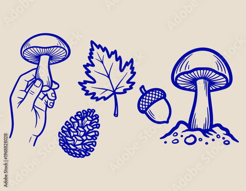Mushroom Picking and Forest Elements Vector Set with Pine Cone Oak Nut and Autumn Leaf