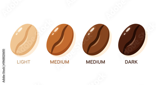 Coffee Beans Showing Different Roast Levels from Light to Dark, Isolated White Background