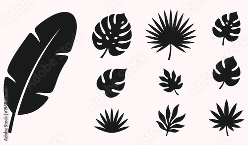 Botanical Variety: A collection of various tropical leaf shapes, arranged in an aesthetic display. perfect for design