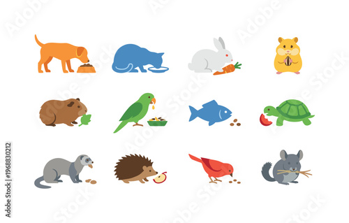 A dog eating, cat drinking, rabbit chewing carrot, hamster holding food, guinea pig nibbling, parrot eating seeds, fish feeding,