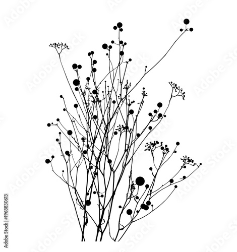 Tracing branches with berries Grass Silhouette . Set Hand drawn. Not AI, vector illustration.