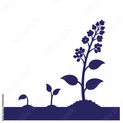 Dark blue silhouette of a plant growing in three stages from a small sprout to a blooming flower stalk with leaves emerging from mounds of soil on a white background