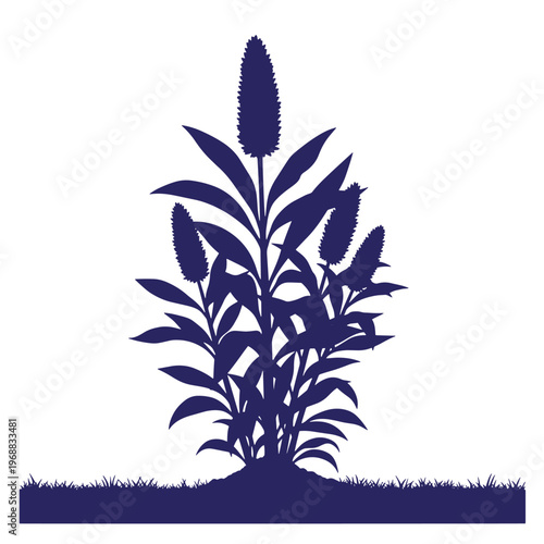 Dark blue silhouette of a sorghum plant with multiple grain heads and pointed leaves growing from a patch of grass on a white background