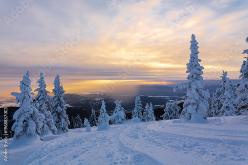 winter landscape with snow