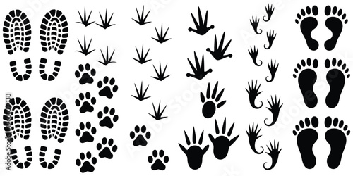 Animal and human footprint silhouettes collection, black paw prints, bird tracks, frog marks and shoe sole impressions isolated on white background, vector illustration set