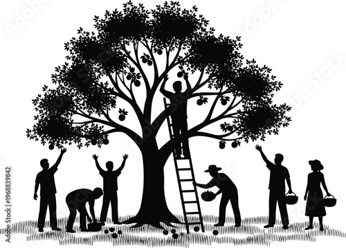 Silhouette of a community harvesting ripe fruit from a large tree with ladders and baskets during a sunny autumn harvest season