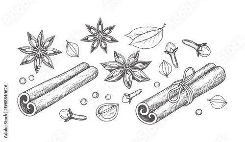 Hand drawn collection of star anise cinnamon sticks cloves and leaves spice
