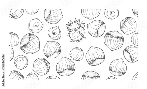Hand drawn pattern of hazelnuts and hazelnut halves white food organic
