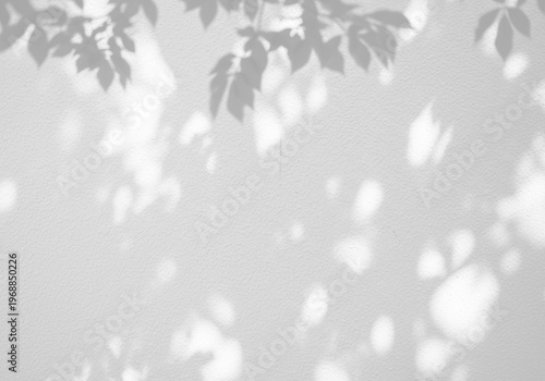 Fotografia Abstract shadow overlay effect of dappled tree foliage and bokeh light, transparent