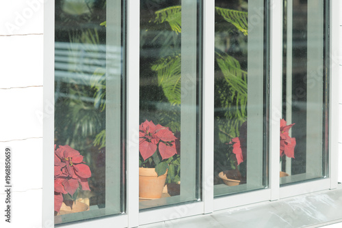 Photos Indoor plants on a window sill with pots and greenery