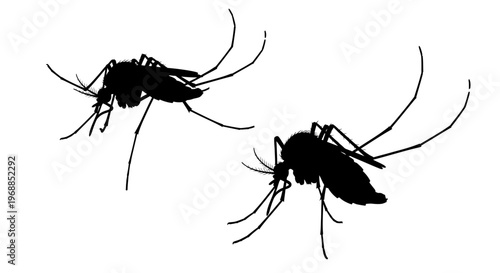 Two black silhouette mosquitoes depicted in a simple graphic style