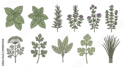 A young man is holding a modern smartphone horizontally, attentively looking at its screen, likely engaging with an app or digital content.