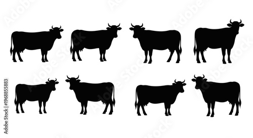 A collection of eight black silhouettes depicting various cow poses
