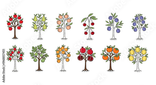A colorful and appealing collection of various fruit trees, showcasing their vibrant produce in a charming hand-drawn illustration style.