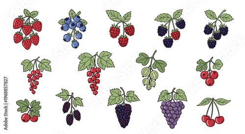 A woman is meticulously inserting a credit card into a payment terminal, indicating a financial transaction or customer service interaction.