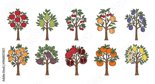 A decorative collection of stylized and colorful fruit trees, featuring ripe apples, pears, cherries, apricots, plums, pomegranates, figs, oranges, and lemons, against a clean white background.