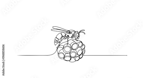 One line drawing of a wasp on its nest. Minimalist vector illustration of an insect and its habitat. Spring nature and wildlife concept isolated on white