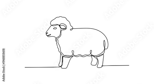 One line drawing of a sheep. Minimalist vector illustration of a farm animal. Spring agriculture and livestock concept isolated on white