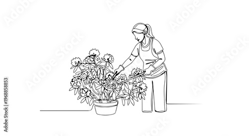 Woman gardening and pruning a potted plant. One line drawing illustration. Minimalist spring garden concept. Vector graphic isolated on white