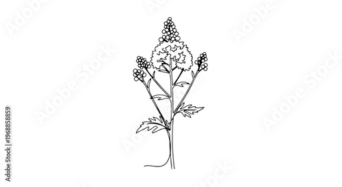 Flowering plant with leaves. One line drawing illustration. Minimalist botanical sketch. Vector graphic isolated on white background