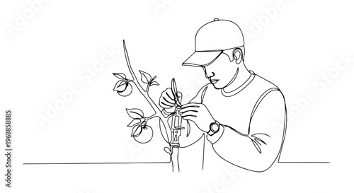 One line drawing of a person grafting a plant branch. Minimalist vector illustration of gardening and horticulture concept. Continuous line art isolated on white background