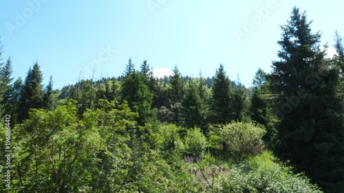 View from above, beautiful picturesque green mountains on a sunny summer day. Almaty