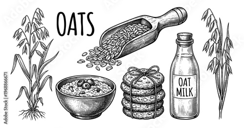 Oat food set with oatmeal porridge cookie and milk sketch