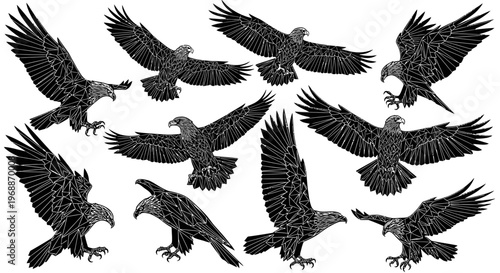 Graceful majestic eagles in flight and perched poses detailed engraving style illustration symbolizing freedom power and wild nature isolated black and white vector art