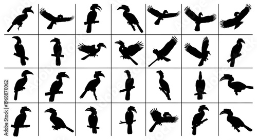 Collection of diverse bird silhouettes in various dynamic poses and flight actions showcasing avian forms against a clean white background for versatile graphic design