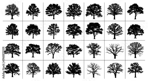 Collection of diverse tree silhouettes in various stages of growth and seasons comprising deciduous and bare branches ideal for graphic design and nature concepts