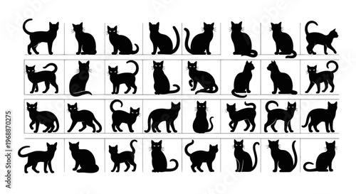 Collection of black cat silhouettes in various poses and actions showcasing agility mystery and playfulness against a clean white background ideal for graphic design and thematic